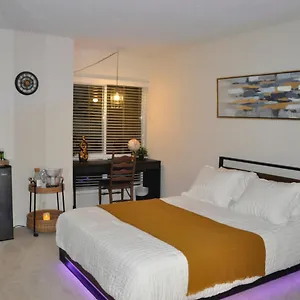  Homestay Private & Bathroom In Shared Oceanfront Home, Marina Del Rey United States